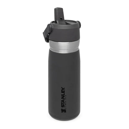 10-09697-008 - Stanley - GO 650ML Flip Straw Water Bottle Charcol