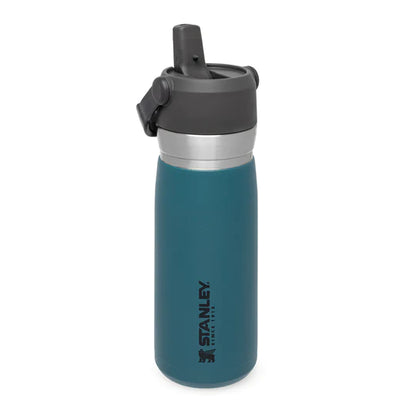 10-09697-009 - Stanley - GO 650ML Flip Straw Water Bottle Lagoon