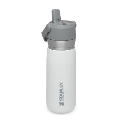 Stanley - GO 650ML Flip Straw Water Bottle Polar