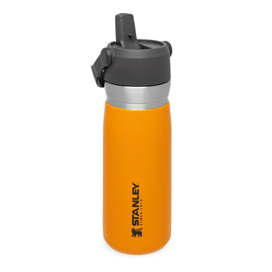Stanley - GO 650ML Flip Straw Water Bottle Saffron